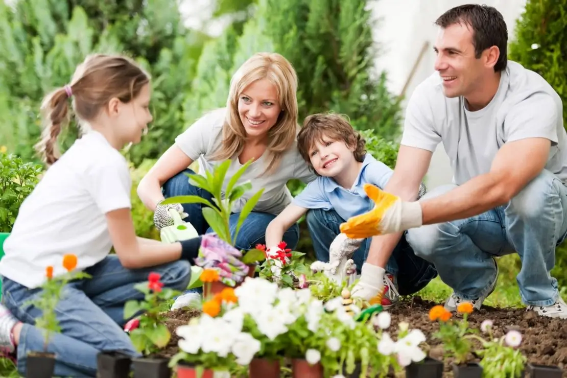 summer time gardening guides 