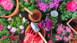 spring season gardening guides 