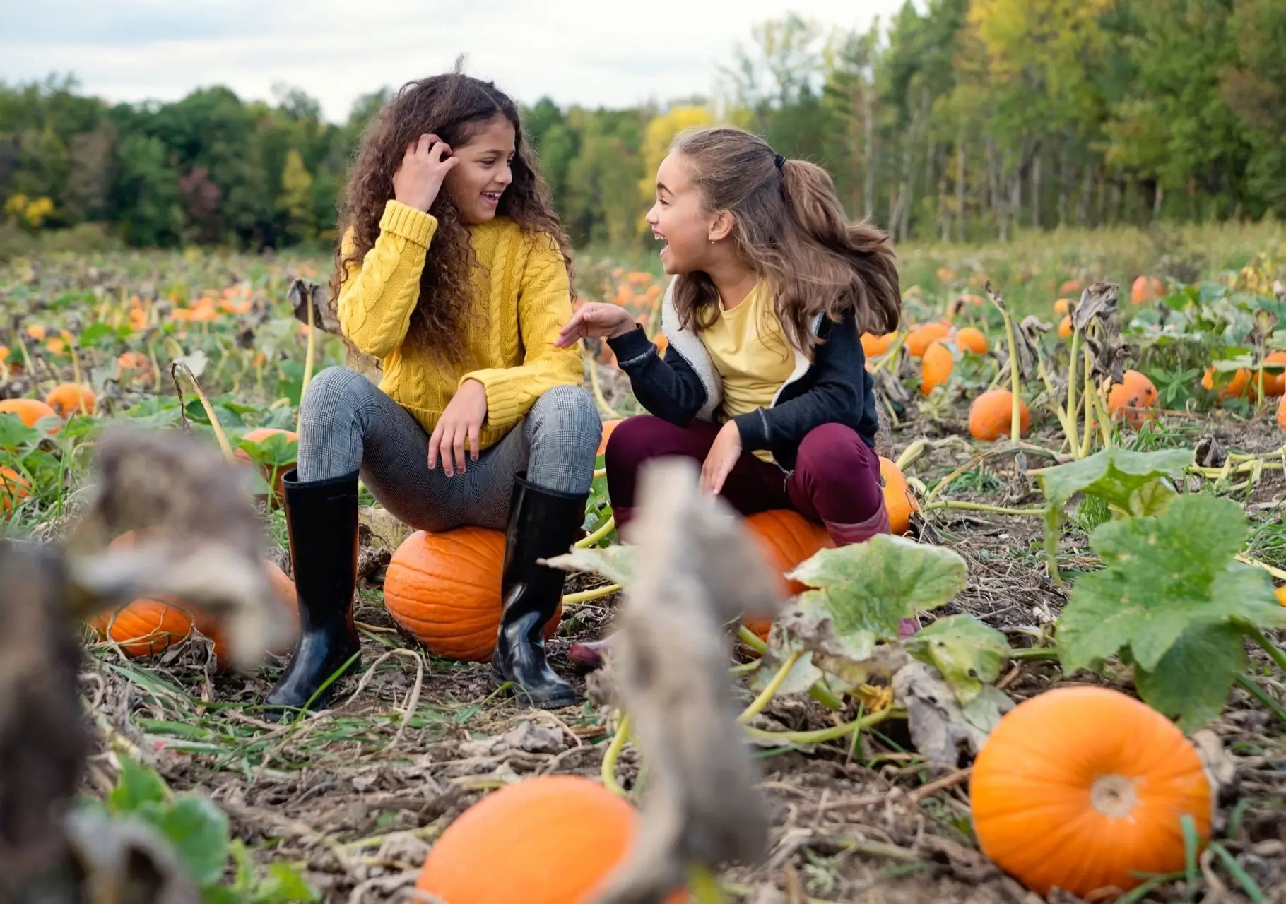 fall time gardening guides 