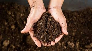 soil health gardening image