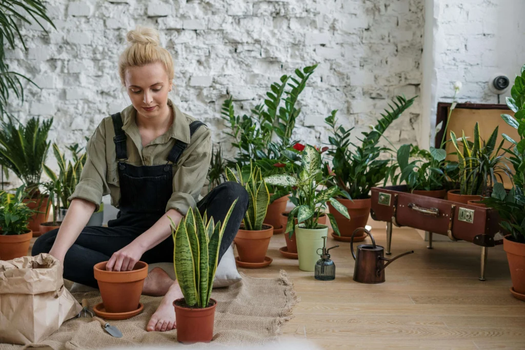 indoor gardening activities image